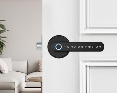 A Smart Choice: How to Choose a Smart Lock for Your Home?
